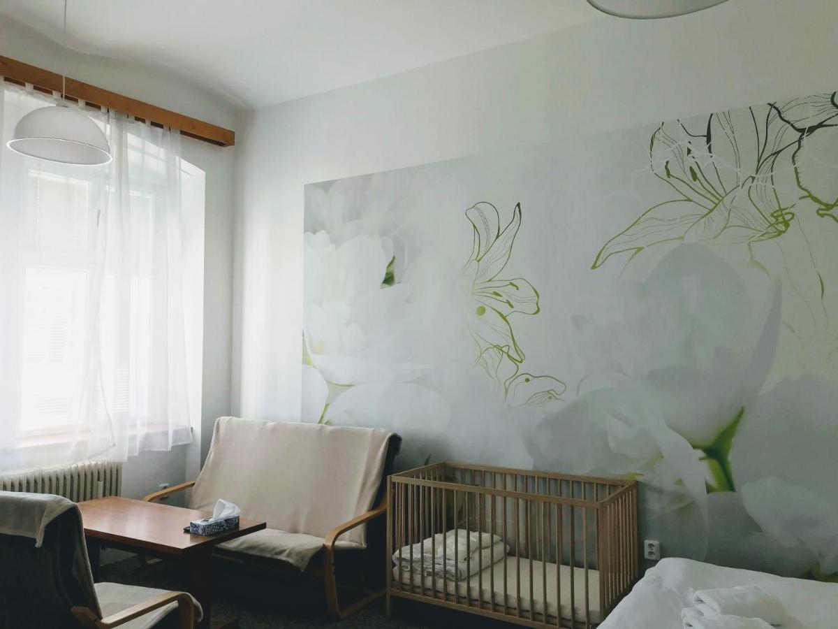 Ferienwohnung Apartman Na Namesti Opočno Exterior foto